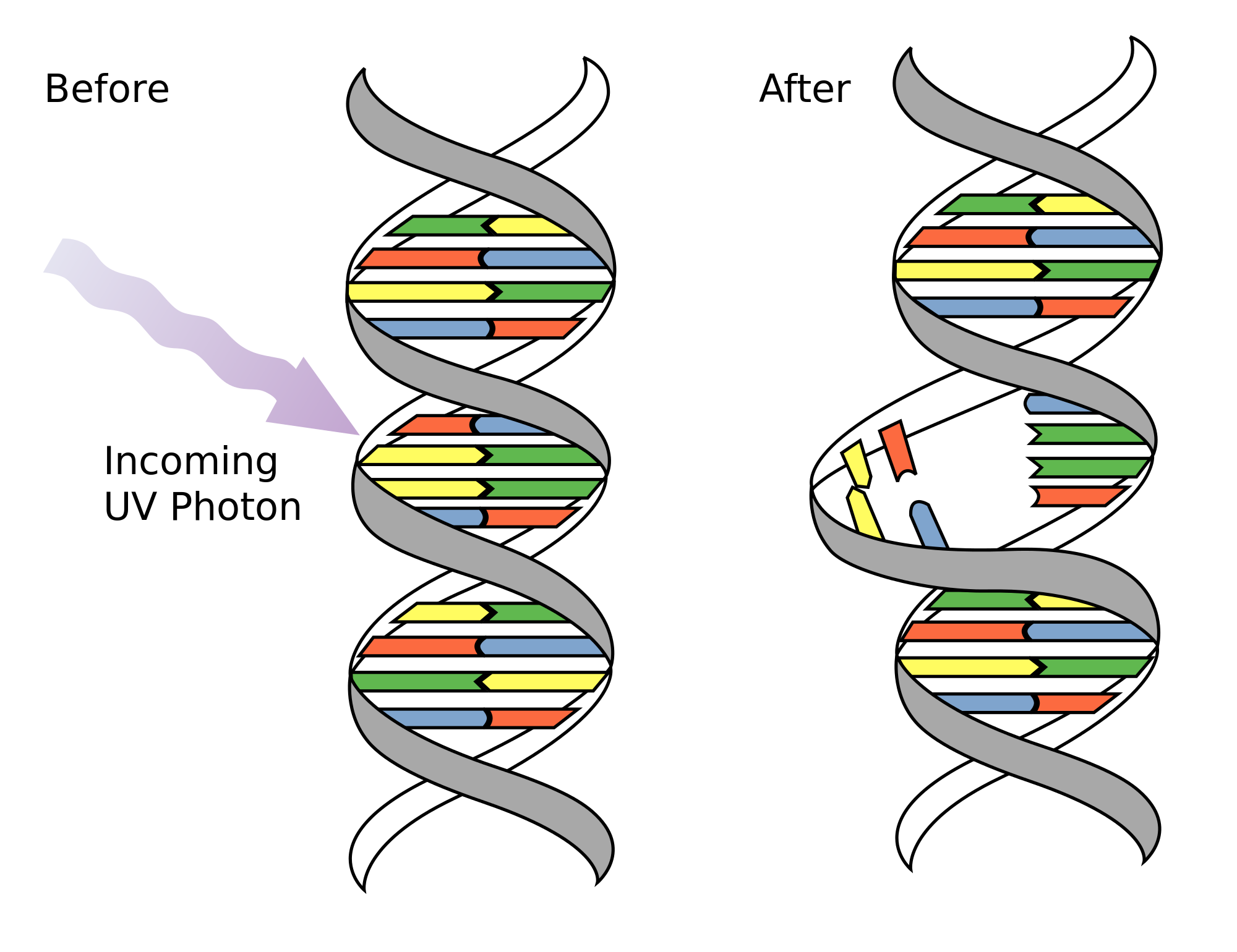 DNA Mutations Generation