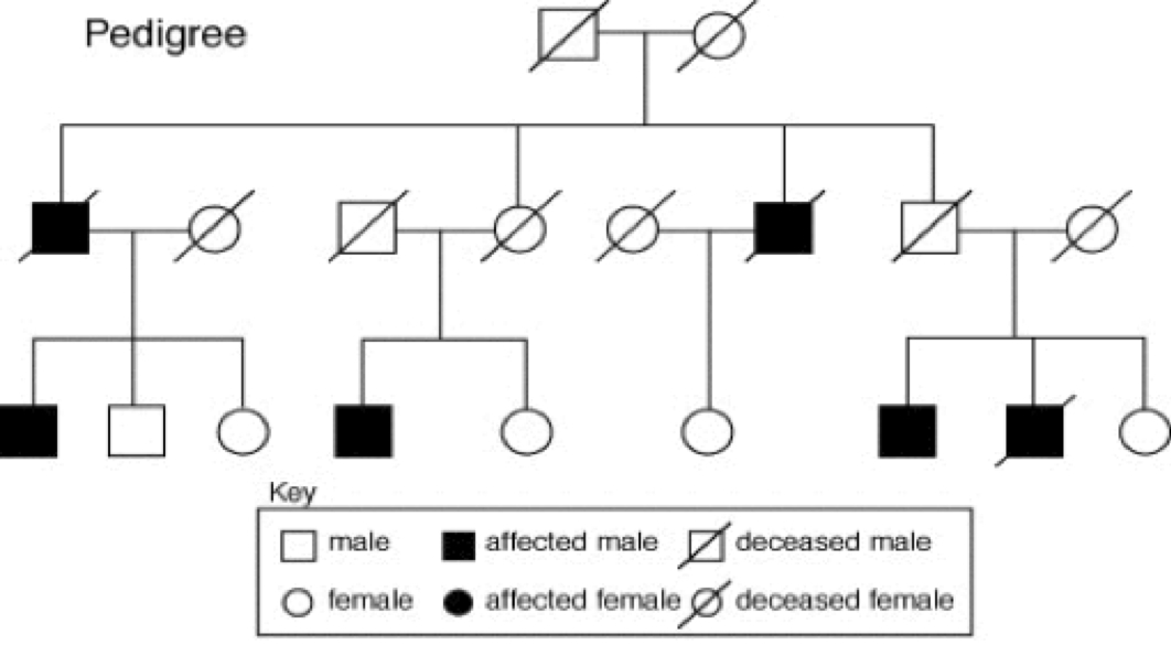 Patterns Of Inheritance Genetics Generation 