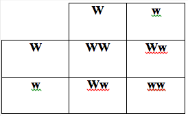A table with four squares and three rows.