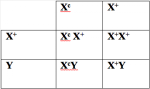 A table with four squares and three rows.