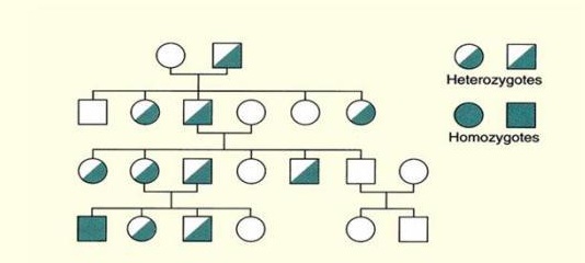 A table with four squares and three rows.