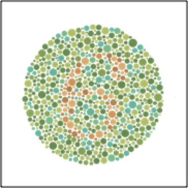 Colorblind Genetics Chart