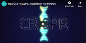 A video of the crispr project is shown.